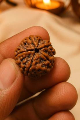 Vanishree World 5 Mukhi Rudraks For Meditation And Prayer, Protection, Chakra Beads Wood Locket