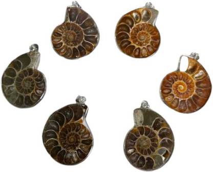 VEEHAAGATE Veeha/Ammonite/Pendant Agate Stone Pendant