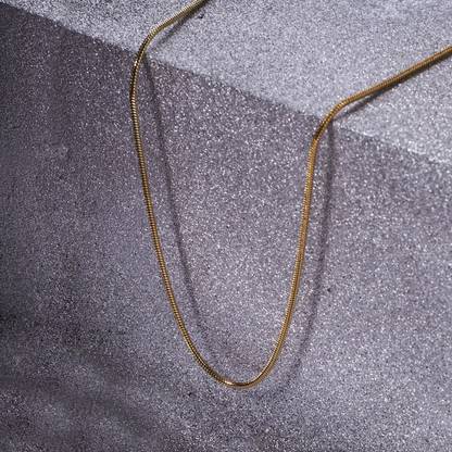 Salty Alpha Round Snake Gold Neck Chain for Men | Locket | Necklace | Aesthetic Jewelry Stainless Steel Pendant Set