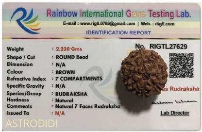 Astrodidi 7 Mukhi Java Rudraksha Seven Face Rudraksha Java Small Size Lab Certified Wood Pendant
