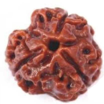 Jewelswonder 100 % Original & Natural Three Face /3 Mukhi Rudraksha With JGL Lab Certified Wood Pendant