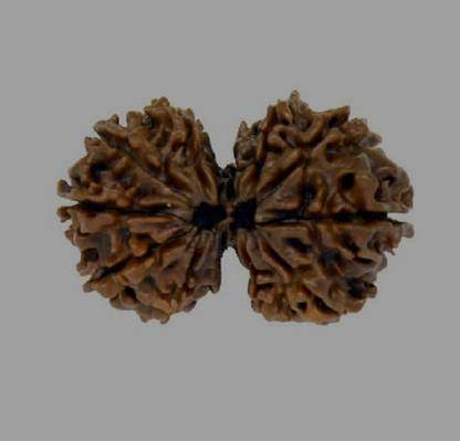 Vegga Gauri shankar rudraksha 100% pure men and women Wood