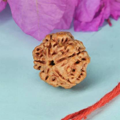 Seetara Rudraksha 5 Mukhi Pendant Silver Pendant