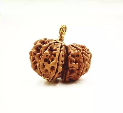 DIVINE SOUVENIRS Gauri Shankar Rudraksha Original Certified Gori Sankar Rudraksh for Mala Making Wood