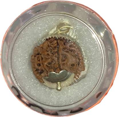 nepalirudraksh 7 Mukhi Rudraksha Original Certified for Wealth AA Plus by Nepali Rudraksha Mother of Pearl