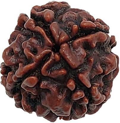 DIVINE SOUVENIRS 4 Face/ 4 Mukhi Nepali Rudraksh Medium Heavy-2 Fine Wood Locket