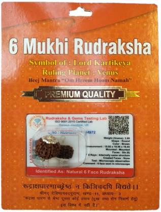 BHAKTI SHRINGAR 6 Mukhi Rudraksha Original Certified Lab Test & X-ray Report Sterling Silver Wood Pendant