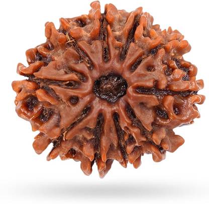 dr. shrimali & astro science Guaranteed Original 10 mukhi rudraksha Bead Wood Pendant