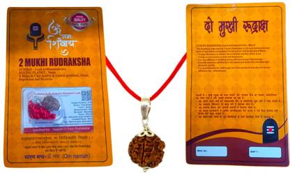 Robin Export Company 2 Mukhi Nepali Rudraksha Two Faced Rudraksh With Lab Test Certificate Sterling Silver Wood
