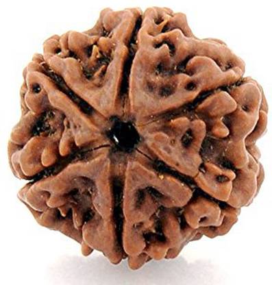 रुद्राक्ष मार्ट 4 mukhi rudraksha लकड़ी लॉकेट