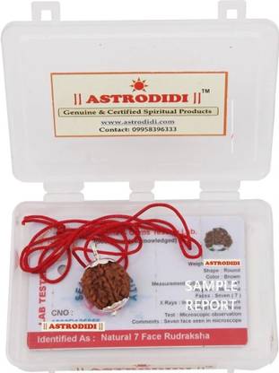 Astrodidi 7 Mukhi Nepali Rudraksha Silver Wood Pendant