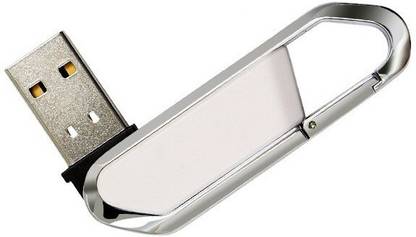 Nexshop 100% Genuine Stainless Steal Swivel Carabiner Sports Hook USB Flash Drive 32 GB Pen Drive Compatible with Gaming Console, Desktop Computer, Tablet, Audio Player, Television, Laptop USB 2.0 Metal Case