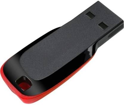 Sandix SA_1232 256 GB Pen Drive Compatible with Laptop, Audio Player, Mobile, Desktop Computer USB 2.0 Plastic Case