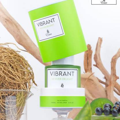 Paris Corner Emir Vibrant Vetiver Delight Eau de Parfum  -  100 ml