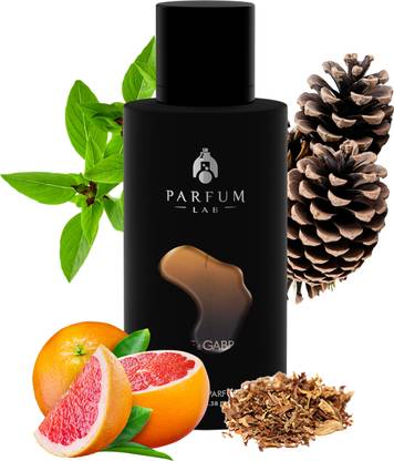 PARFUM LAB Inspired by THE 1 FOR MEN BY DG Perfume | Long Lasting Fragrance | Eau de Parfum  -  100 ml