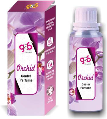 GANDHI SUGANDH BHANDAR Orchid Cooler Perfume | Long Lasting | Alcohol Free Perfume  -  25 ml