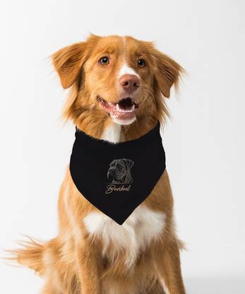Farnup Bandana for Dog