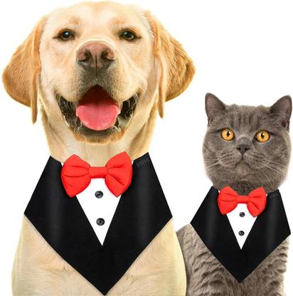 Buraq Tuxedo for Dog