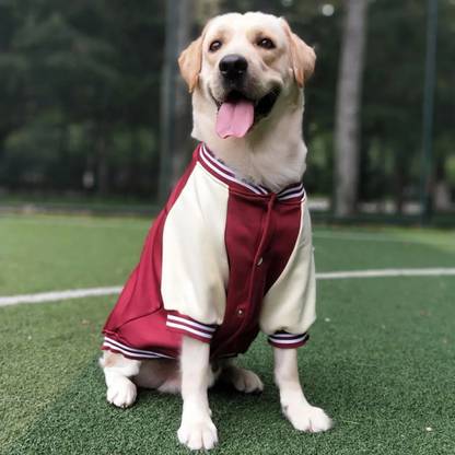 Petaloons T-shirt for Dog