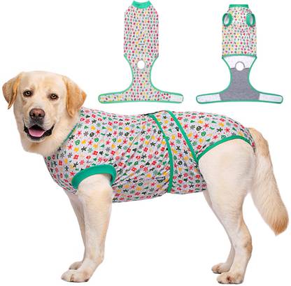 KUTKUT Costume for Dog, Cat