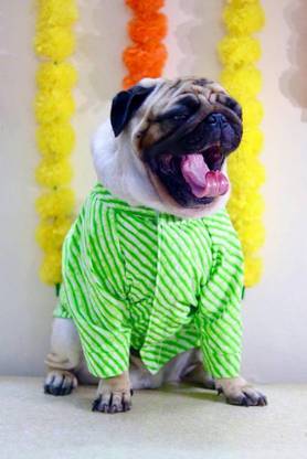 Baeship Shirt for Dog