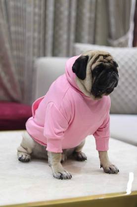 Baeship Hoodie for Dog
