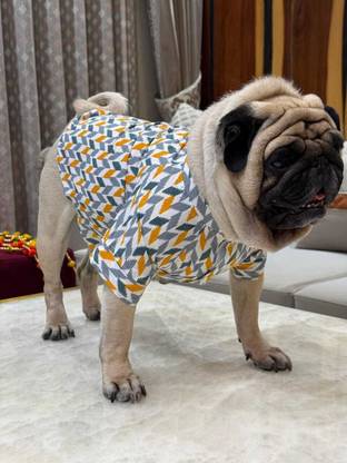 Baeship Dress for Dog