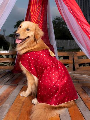 Paws By Vastramay Dress for Dog