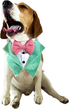 Dog-O-Bow Bow Tie for Dog