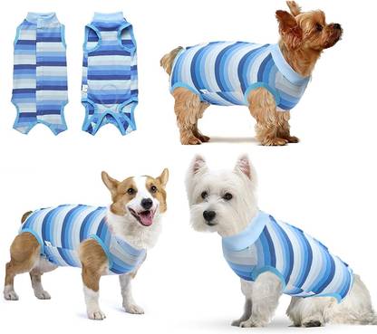 KUTKUT Costume for Dog, Cat