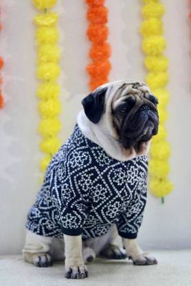 Baeship Shirt for Dog