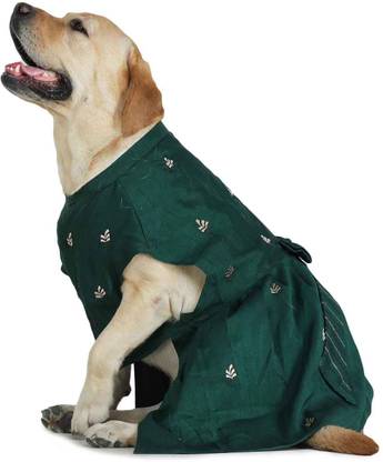 Barks & Wags Dress for Dog