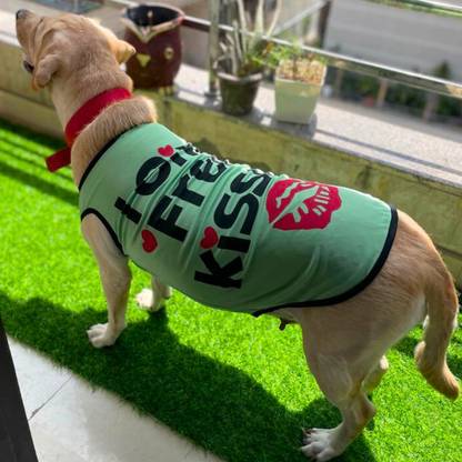 Lulala T-shirt for Dog, Cat, Rabbit