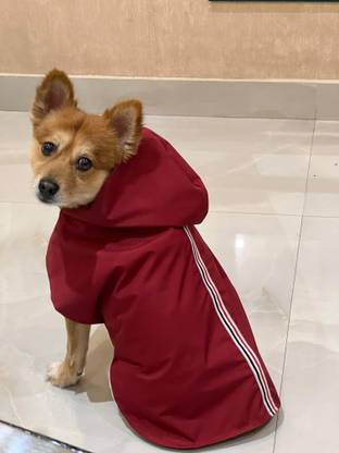 PET SNUGS Raincoat for Dog