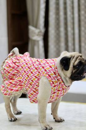 Baeship Dress for Dog