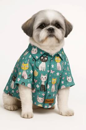 PawTaaka Shirt for Dog