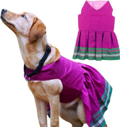 my art bucket Frock for Dog