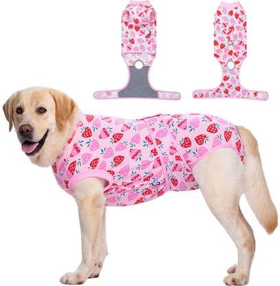 KUTKUT Costume for Dog, Cat