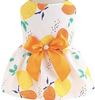 KUTKUT Frock for Dog, Cat