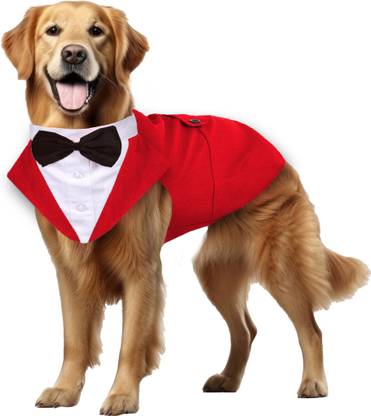 Buraq Tuxedo, Costume for Dog