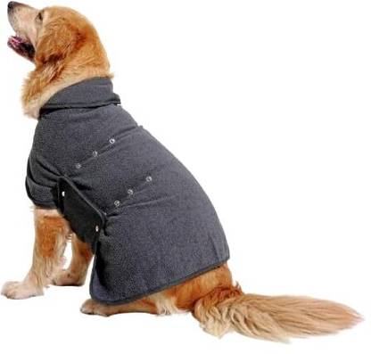 Barks & Wags Costume for Dog