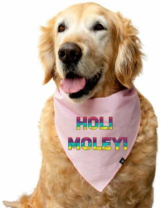 RUSE Bandana for Dog