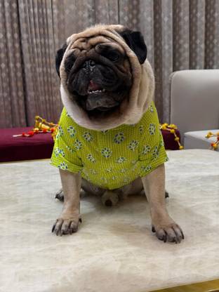Baeship Dress for Dog