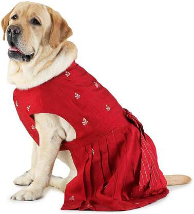 Barks & Wags Dress for Dog