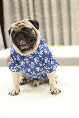 Baeship Dress for Dog