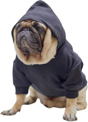Baeship Hoodie for Dog