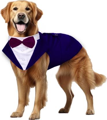 Buraq Tuxedo, Costume for Dog
