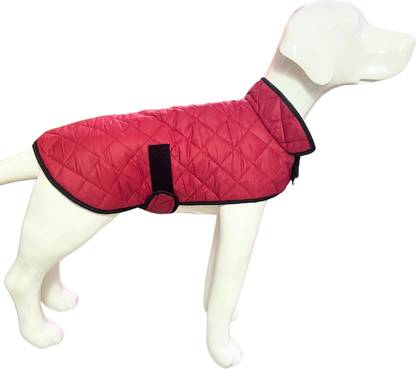 Payton Perry Winter Jacket for Dog