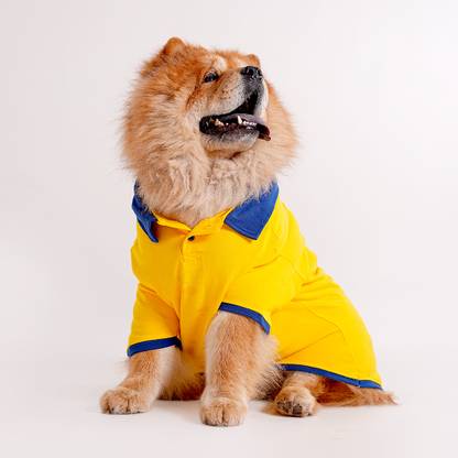 Barks & Wags T-shirt for Dog