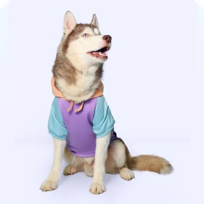 Pawrels Hoodie for Dog